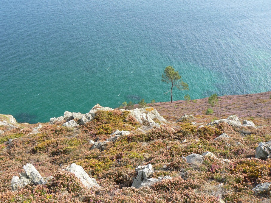 crozon (14)